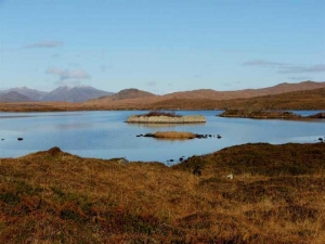 Clifden's Deep Past